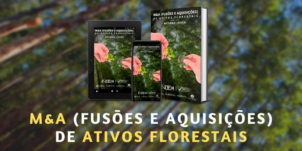 M&A de Ativos Florestais | Método Index