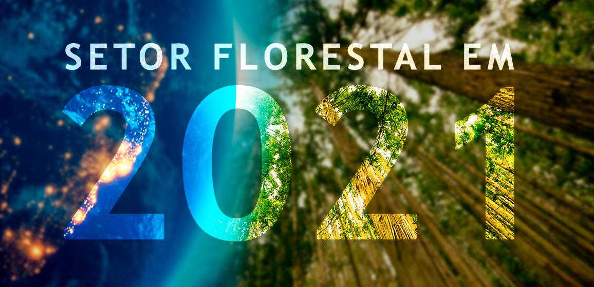The 10 forecasts for the forest industry in Brazil and in the world in 2020: what did we get right and what can we expect for 2021?