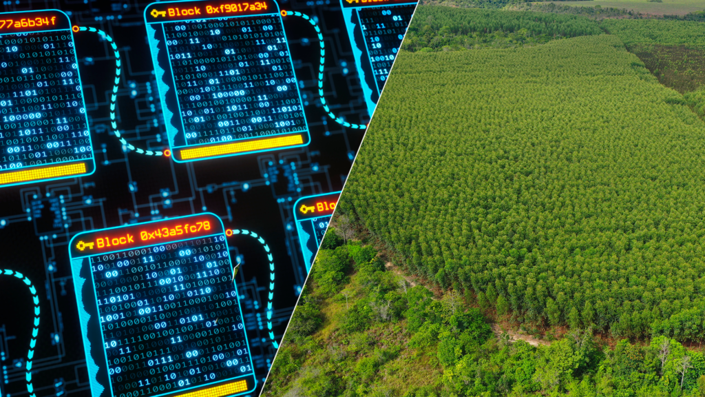 blockchain-setor-agroflorestal