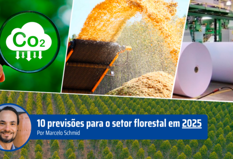 10 previsões para o setor florestal em 2025 | Por Marcelo Schmid